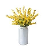 WheatThrive B0H367KTGN lato 3
