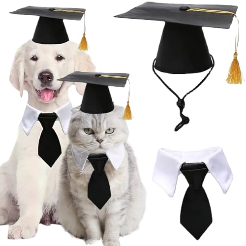 2 ƎybgLbv lN^C ^ L ubN zCg ƖXq ^bZƃlN^C݃Zbg q qL  zf[ tFXeBo J[jo p[eB[ RX`[ANZT[