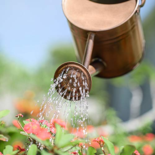 Homarden Half Gallon Copper Colored Metal Indoor Outdoor Plant Watering Can for House Plants with Removable Spout, 80oz