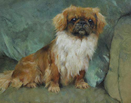 Peinture par numéros Kits chien pékinois bricolage peinture à l'huile dessin toile avec pinceaux décorations cadeaux Cover