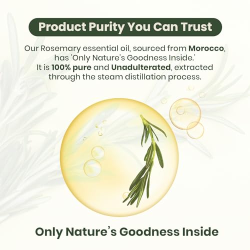 Image of Rosemary Essential Oil | Hair Fall Support | Lab Tested | 20ml | 100% pure rosemary essential oil, dermatologically tested, steam distilled, no synthetic fragrance, no additives