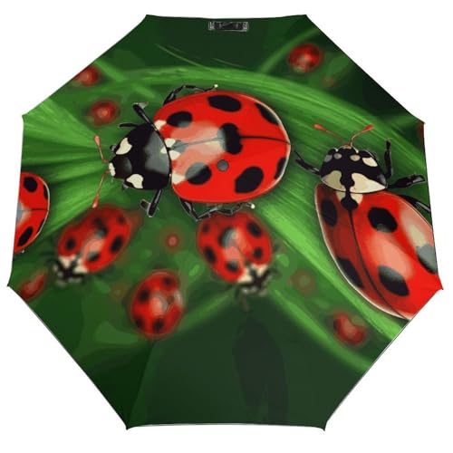 Parapluie rouge coccinelle pluvieux transport pliable et accessoires de voyage