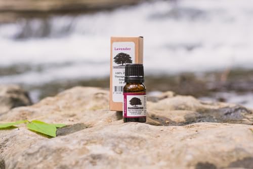 3 Pack Northridge Oak Lavanda Aceite Esencial Puro 100% miniatura 2