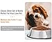 Whippy Stainless Steel Dog Bowls for Small,Medium,Large Pets Set of 2 (Silver,M,10oz)
