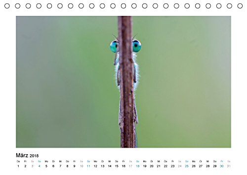 Faszinierende Libellen (Tischkalender 2018 DIN A5 quer): Dieser Kalender zeigt Ihnen die farbenprächtige Welt der heimischen Libelle. (Monatskalender, ... [Kalender] [Apr 07, 2017] Heufelder, Stefanie