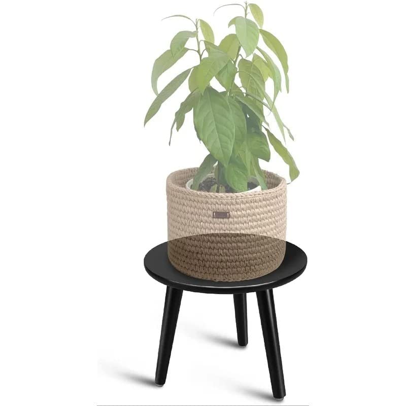 Anamino Shoppee Plant Table for Indoor-Tall Plant Stand,Planter Stand for Indoor Plants,12 inches Small Round Side Table,Mid Century Plant Stand and Tall Plant Holder for Flower Pots-Black (B0BH1CM54Z) Amazon Price History, Amazon Price Tracker