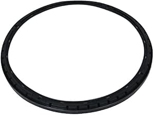 GM Parts 24242871 Automatic Transmission 3-5-Reverse Clutch Piston, Hard Parts - Canada