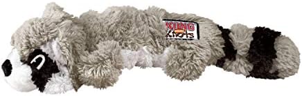 kong raccoon toy