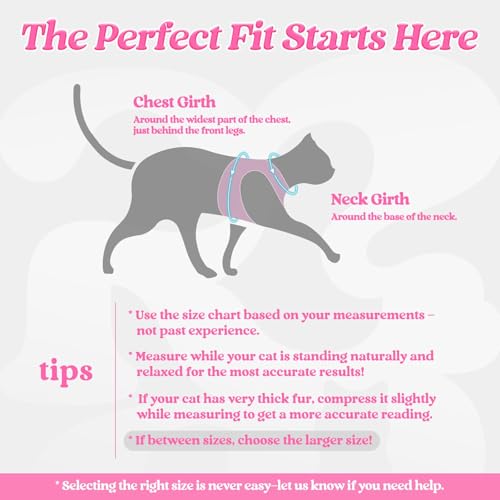 Image of rabbitgoo Cat Harness and Leash Set, Step-in Soft Vest, S, Black & Pink | Escape Proof, Lightweight Air Mesh, Easy-on, Adjustable, Hook & Loop with Buckle, Reflective, for Kittens & Tiny Cats Walks