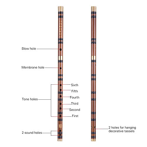Btuty Flöte – Pluggable Bitter Bamboo Flöte Dizi traditionell chinesische Hand Holz Musikinstrument Schlüssel D Studienleistung