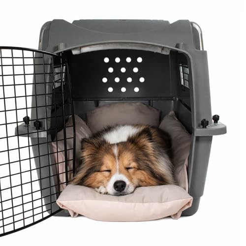 Helen's Pet Bed Hundekissen für Transportboxen, Medium (Etikett: L JP Size) – Wendbare Hundematte für Hundebox, Tragetasche & Hundewagen, Waschbar, Ganzjährig