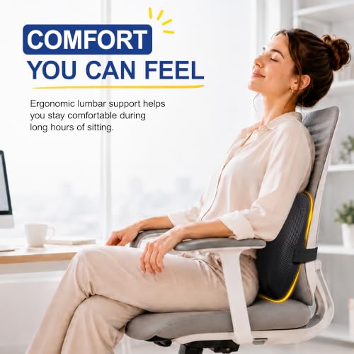 Lumbar Pillow with Washable 4D Mesh