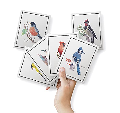 Twigs Paper - American Birds Note Cards - Set Of 12 Blank Assorted Greeting Cards With Envelopes (5.5 X 4.25 Inch) - 100% Eco Friendly Stationery - Made In Usa #TOP1