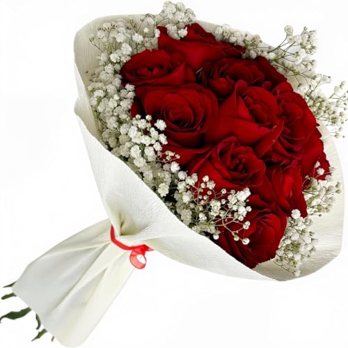 Ramo de 10 Rosas Rojas Frescas Naturales con Paniculata