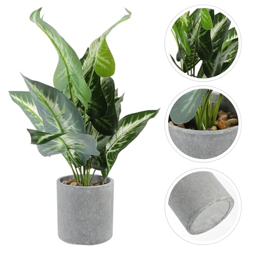 TEMPNAP tFCN~͔A ϗtAV~[V CeAp AfXN z[Lb` Ȏőϋv