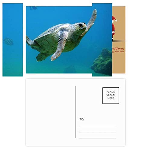 Cartes postales océan et Père Noël pour décorer vos cadeaux et écrire à vos proches