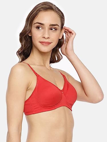 Image of Women Bra
