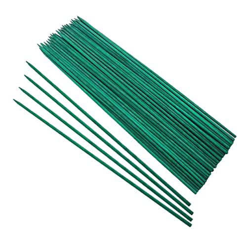 FONDOTIN 50pièces Tuteurs Bambou pour Plantes Supports pour Fleurs Et Tomates pour Jardins Et Arrangements Floraux