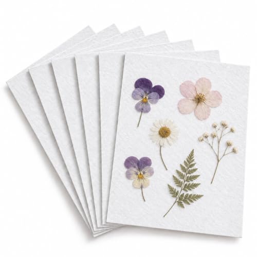 Suziko Flower Press Replacement Drying Boards, 6 Sheets Blotting Paper, 160 × 230 mm, 1 mm Thick, Fits 10.8 x 6.9 Flower Press Kit