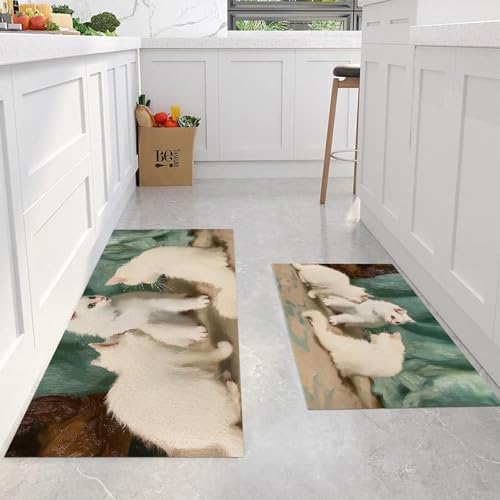 Tapis Cuisine Lavable Eau et Huile pour Sol Propre