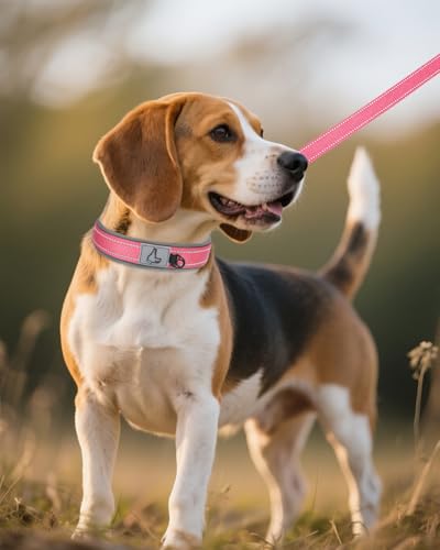 Image of Joytale Dog Collar for Medium Dogs, Neoprene Padded and Adjustable, Reflective Wide Heavy Duty Pet Collars with Durable Metal Belt Buckle for Walking, Pink, M