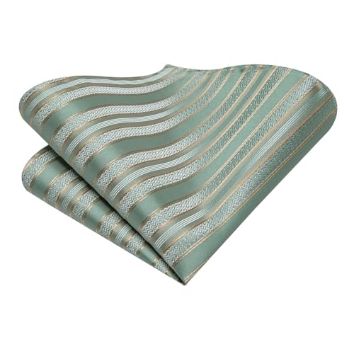 Image of Dubulle Mens Tie Set Solid Paisley Silk Striped Necktie for Men with Cufflinks Tie and Pocket Square