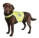 TRIXIE Warnweste für Hunde S neongelb – Sicherheitsweste mit reflektierenden Elementen für mehr Sicherheit im Dunkeln – verstellbar & pflegeleicht mit Klettverschluss - 30081
