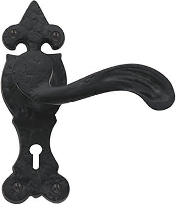 Black Antique Lever Lock on Backplate Door Handle from EUROART
