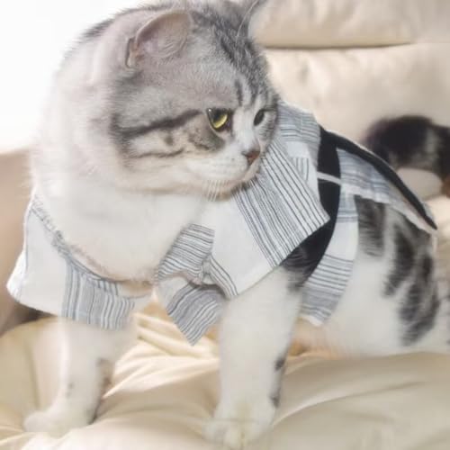 ybg    L lR ˂ 䂩 ybg hbOEFA Ղ čՂ ԉΑ ^ ^ ˂ ʂ  r o a bOEFA  LOBe (XS,C)