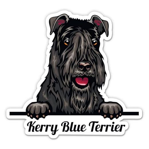 Kerry Blue Terrier Sticker - 5" Laptop Sticker - Waterproof Vinyl for Car, Phone, Water Bottle - Kerry Blue Terrier Dog Decal