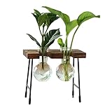 【Ideales Geschenk】: Der Blumentopf ist ein perfektes Geschenk für Valentinstag, Geburtstag, Erntedankfest, Hochzeit, Jubiläum, für Familienmitglieder, Pflanzenliebhaber und Gärtner.