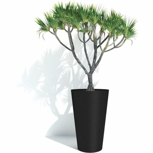 Pot Marque anti stagnation d'eau pour protéger les racines des plantes - 5