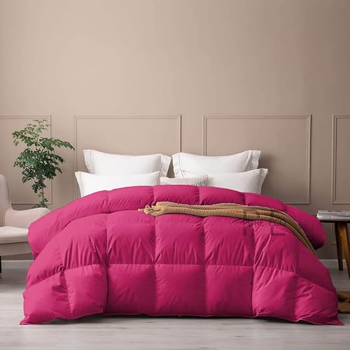 Image of PURE ECO 300 GSM Comforter for Single Size - Luxury & Soft Microfiber 300 GSM Comforter for Winter - Duvet /Blanket Single Size (60 inchX90 inch) - Hot Pink Color