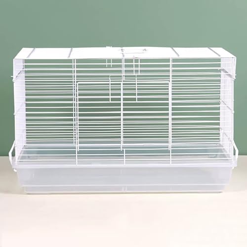 nX^[ P[W OXy[X bg P[W NA  P[W vX`bN nX^[ P[X  AN ^ t P[W gݗĎ ^s ʋC ȒP 킢 (B,tiȂ)