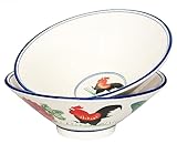 jinsongdafa porcelain Japanese Ramen Bowls Soup Bowl, Microwavable, Dishwasher Safe, for Rice, Udon, Soba, Pho, 35 oz, Set of 2, 9.3 Inch