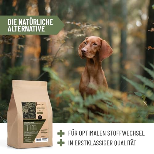 ReaVET Hunde Leckerlis mit Hanf 500g, Wohlfühl Sticks - Natürliche Beruhigung & Entspannung bei Angst oder Stress - Hundeleckerlis, Hundekekse aus Hanfpresskuchen getreidefrei & naturbelassen