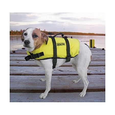 Xxs life jacket for dogs Clearance