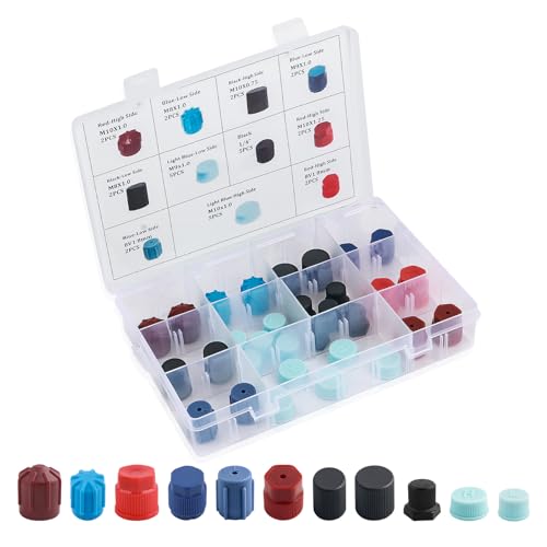 31PCS Car AC Low Pressure Port Cap & High Pressure Cap Kit,Car Air Conditioner Valve Caps for Dust Protection with Internal Washer & 11 Specs,Practical Cars Accessories AC Tools