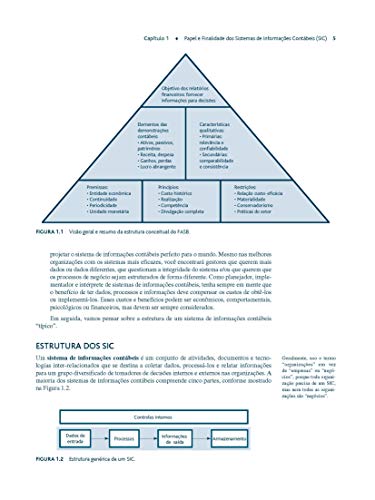 Sistemas de Informações Contábeis: Conceitos Básicos e Temas Atuais