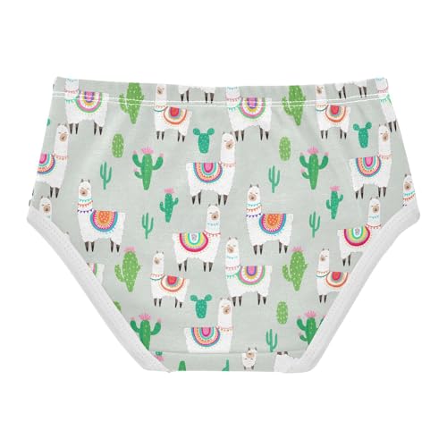 Cute Llamas Alpaca Toddler Girls's Underwear 2T 202c12912