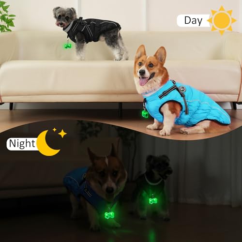 HezzLuv Hundemantel Winter, Hundemantel Wasserdicht, Warme Hundejacke mit Geschirr, Reflektierende Streifen, LED-Leuchtkragen, Winterjacken & Wintermäntel für Kleine, Mittelgroße Hunde