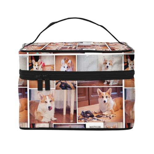  R[M[ σ|[` CN{bNX ϕi[ ʗp|[` RX|[` e  y h |[` RXہ[ jp