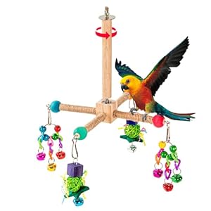 Bird Perch Toy Parrot Interactive Rotating Toy Bird Wooden Cage Accessories for Small and Medium Parrots Wooden Stand Perch for Parakeets Cockatiels Lovebirds Conures Budgies Expend Energy