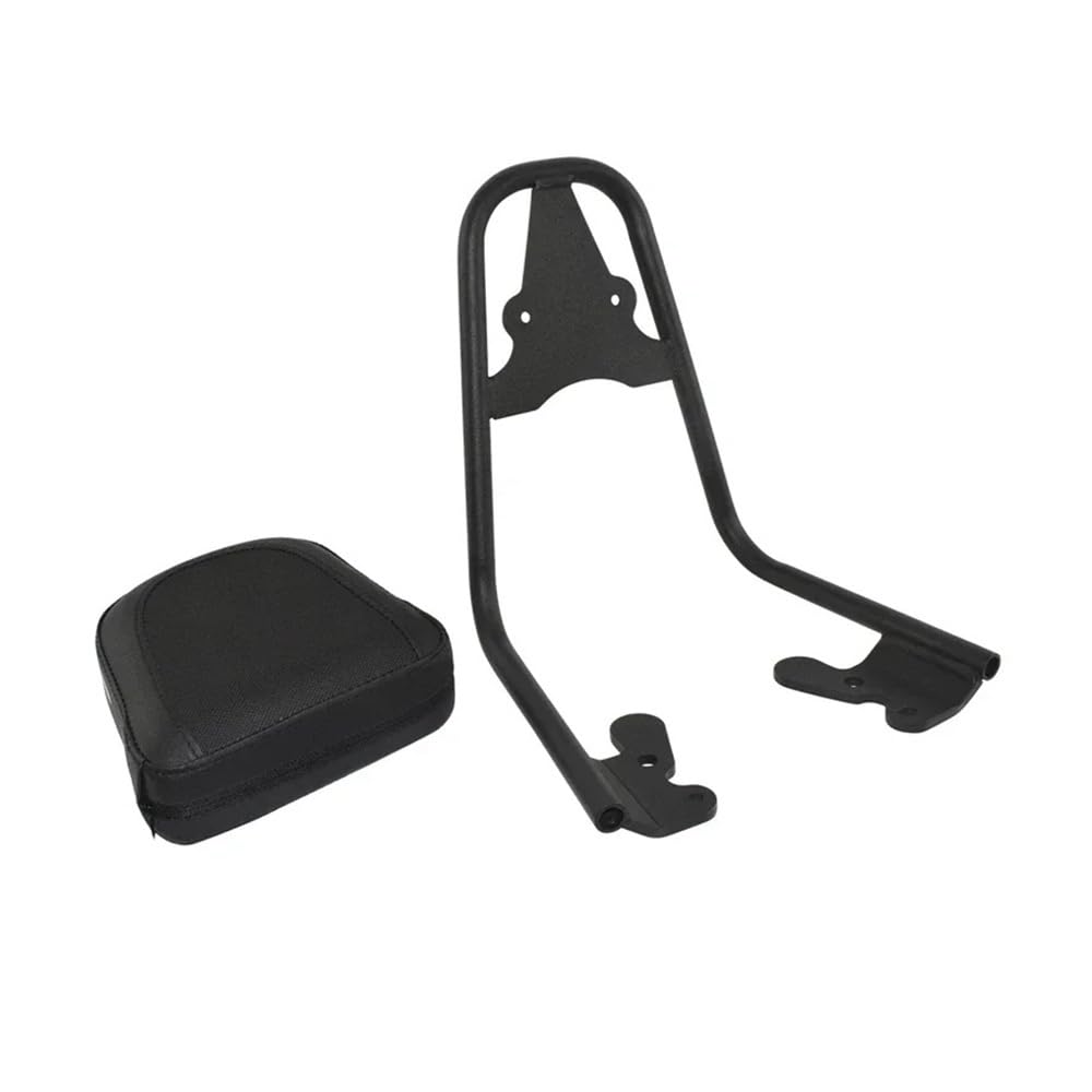 Coussin dossier PG-1 avec support ergonomique passager 2024 - 7