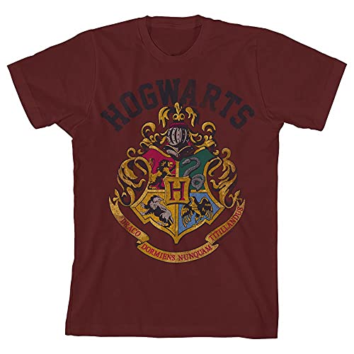 Harry Potter Hogwarts Crest Short-Sleeve Youth Boys' Graphic Tee T-Shirt2