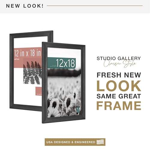 MCS Studio Gallery Classic 12x18 Picture Frame Black Woodgrain, Vertical & Horizontal Wall Hanging Large Picture Frame for Photos, Posters & Art Prints (1-Pack)