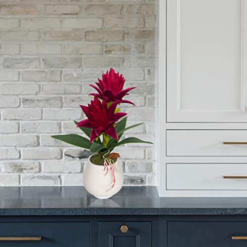 Binfen Wine Red Potted Bromeliad Fake Plant With Vase For Home And Office Decor, Aesthetic Faux Tropical Flower Bonsai For Room Decoration, 13.4 Inches #TOP4