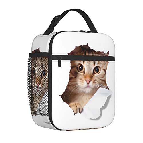 FYCFSLMY Cute Animals Cat Outdoor Insulated Lunchbox Reusable Picnic Cooler Bag For Women Men Work Travel Office