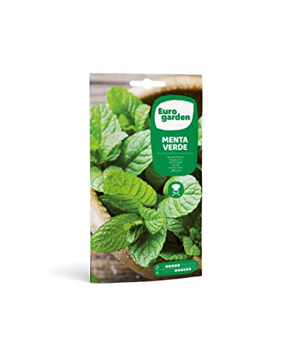 Eurogarden - Semillas de Menta Verde, Planta aromática culinaria, 0,1 g - 653
