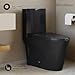 St. Tropez One Piece Elongated Toilet Vortex™ Flush in Glossy Black 1.1/1.6 gpf